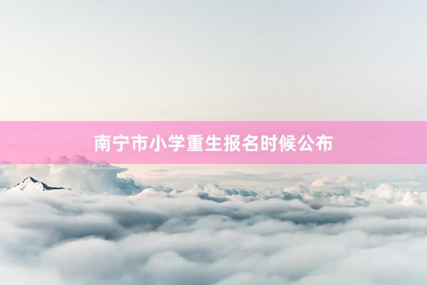 南宁市小学重生报名时候公布