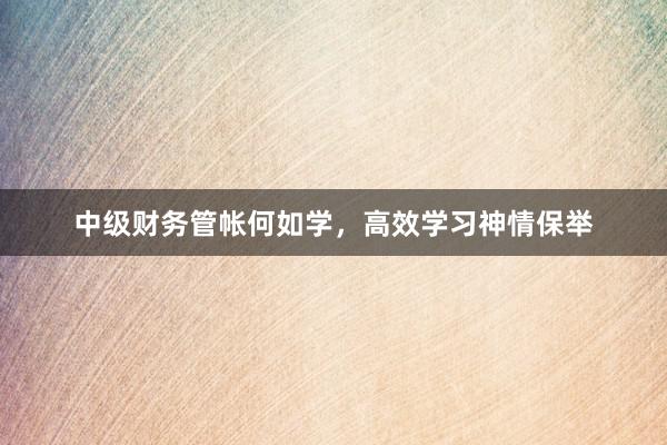 中级财务管帐何如学，高效学习神情保举