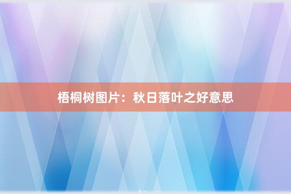 梧桐树图片：秋日落叶之好意思