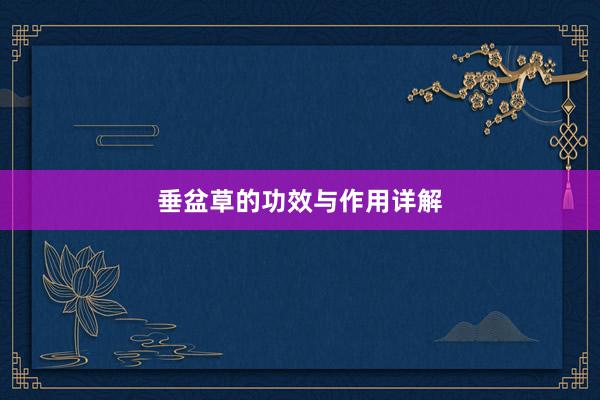 垂盆草的功效与作用详解